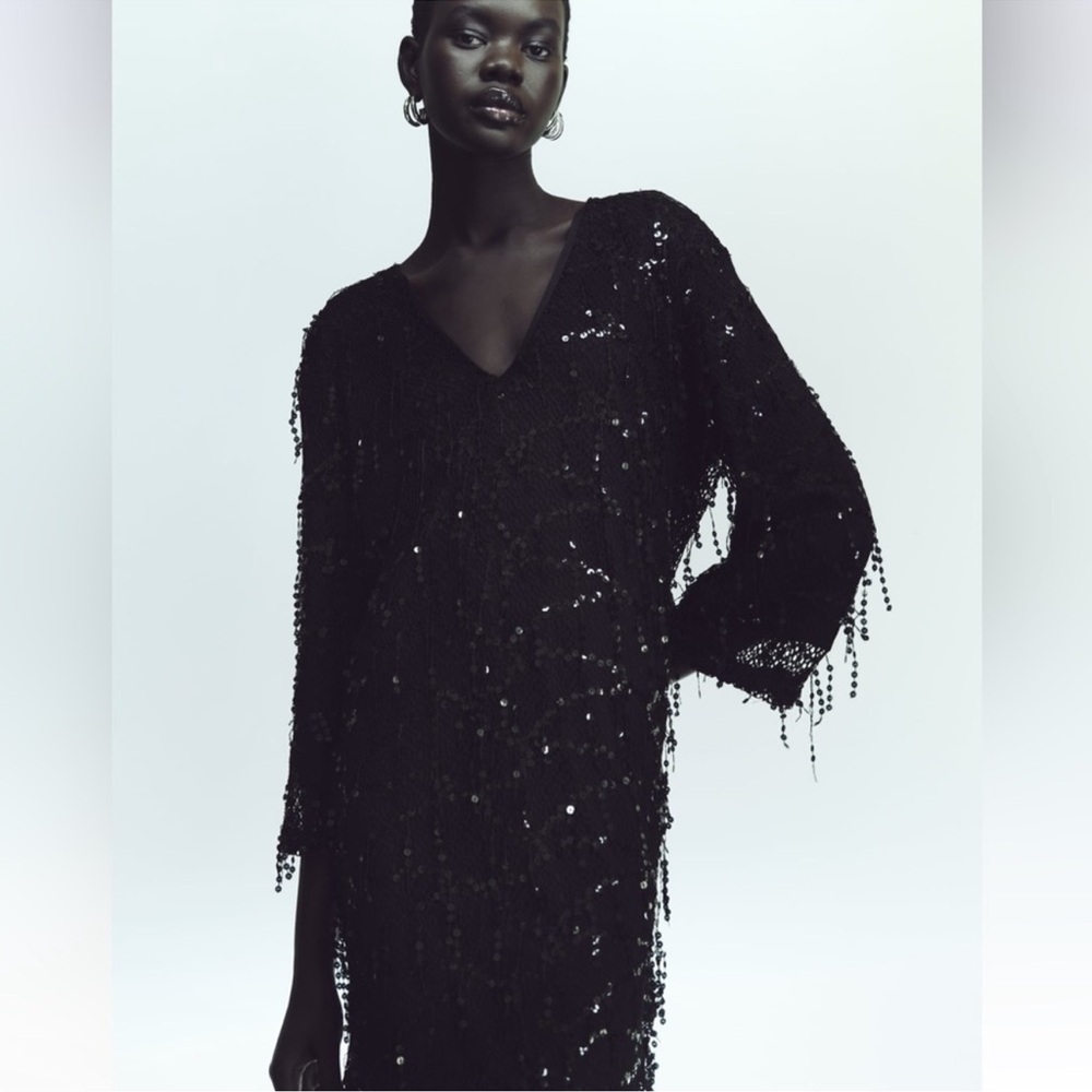 ZARA FRINGED SEQUIN MINI DRESS SIZE SMALL NWT - Picture 4 of 9